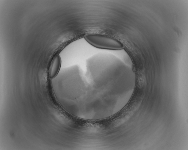X0000113050207200909241502