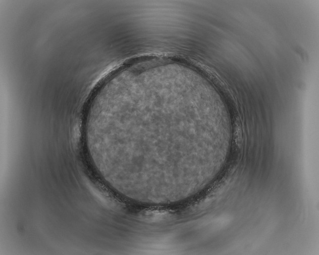 X0000113050208200909241502