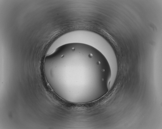 X0000113050209200909241502