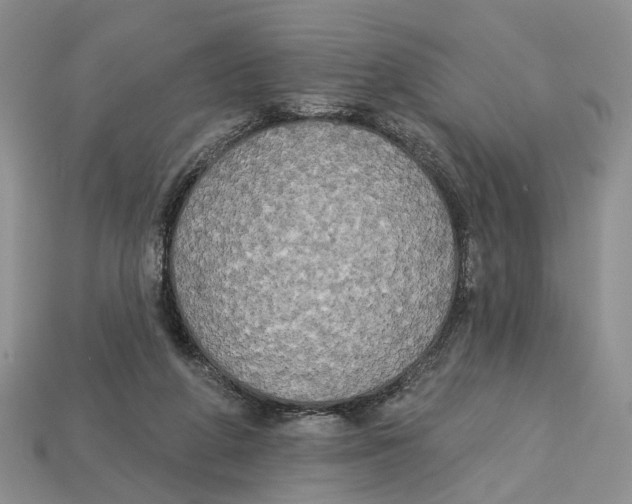 X0000113050210200909241502