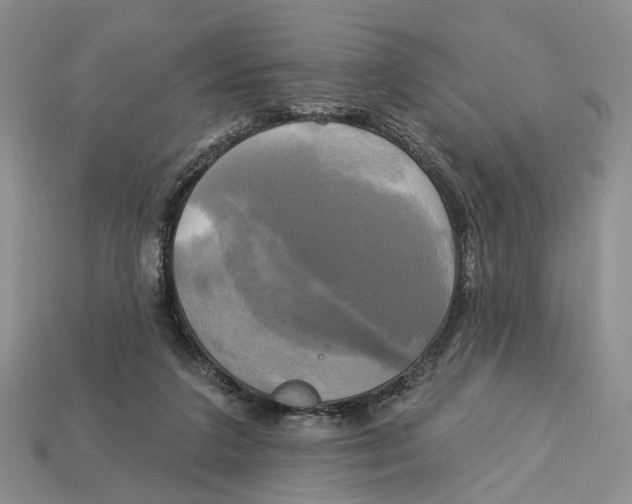 X0000113050211200909241502