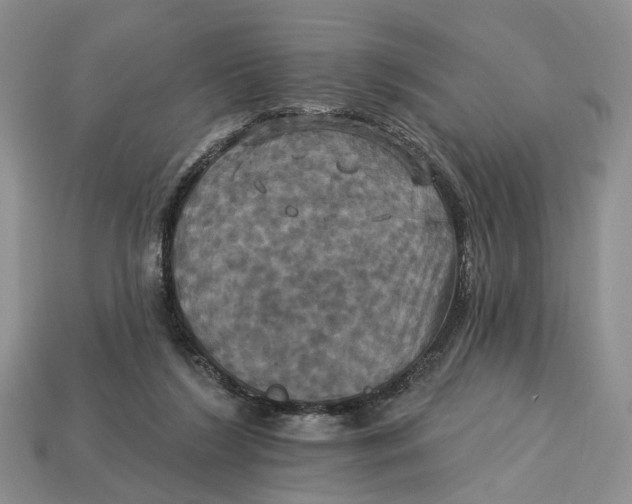 X0000113050212200909241502