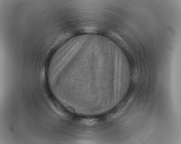 X0000113050213200909241502