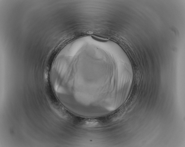 X0000113050214200909241502