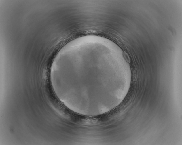 X0000113050215200909241502