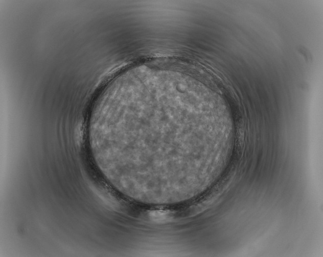 X0000113050216200909241502