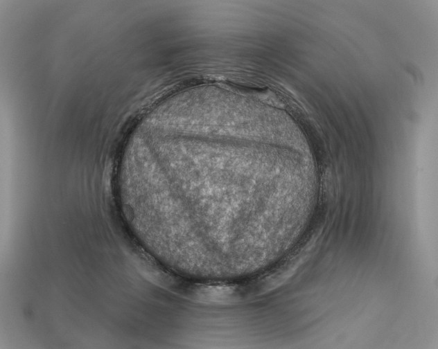 X0000113050217200909241502