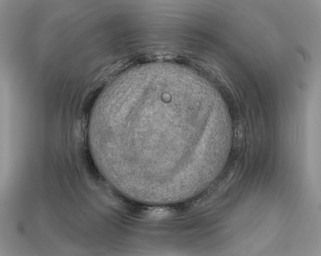 X0000113050218200909241502