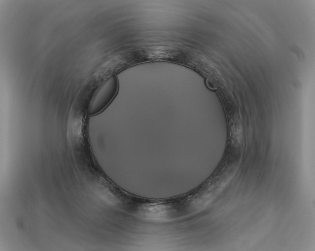 X0000113050219200909241502