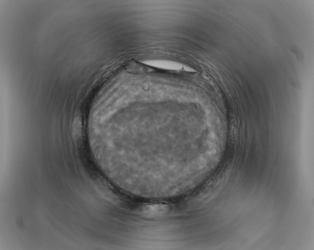 X0000113050220200909241502
