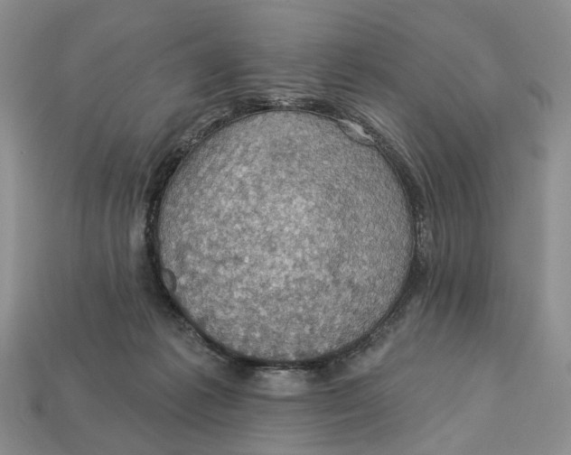 X0000113050221200909241502
