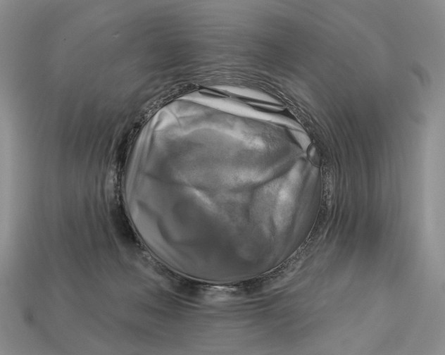 X0000113050222200909241502