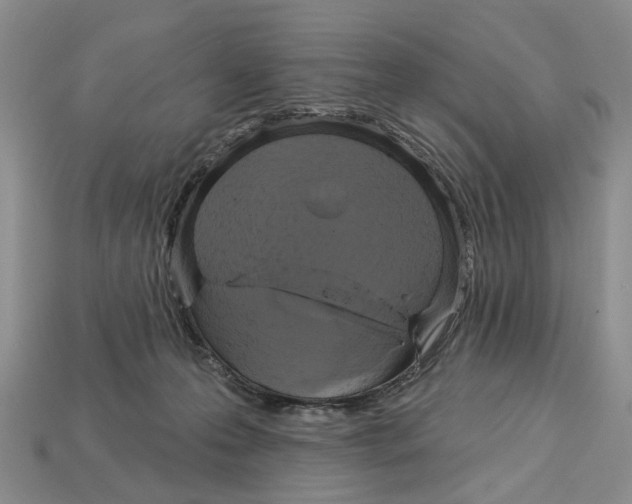 X0000113050223200909241502