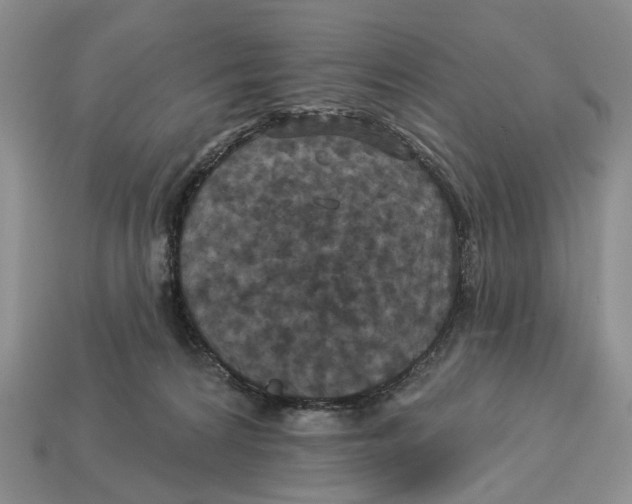 X0000113050224200909241502