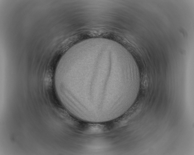 X0000113050226200909241501