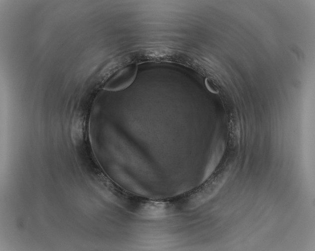 X0000113050227200909241501
