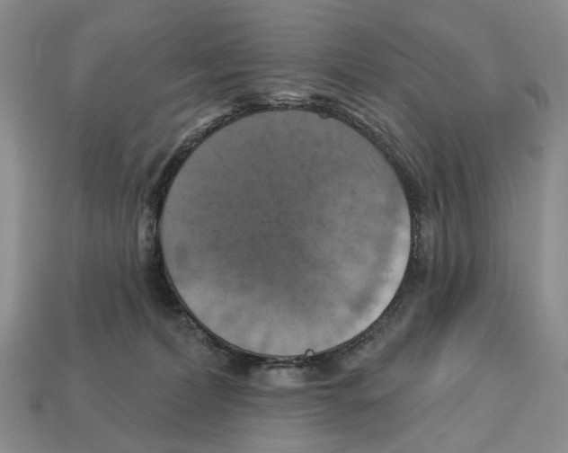 X0000113050228200909241501