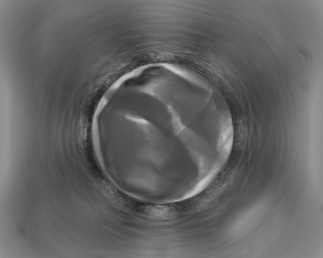 X0000113050230200909241501