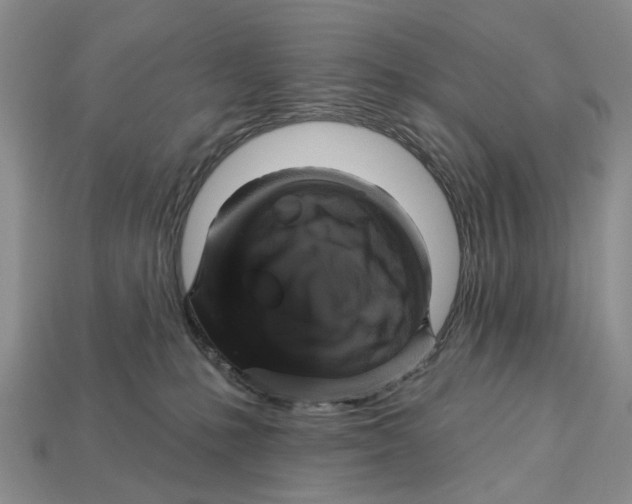 X0000113050231200909241501