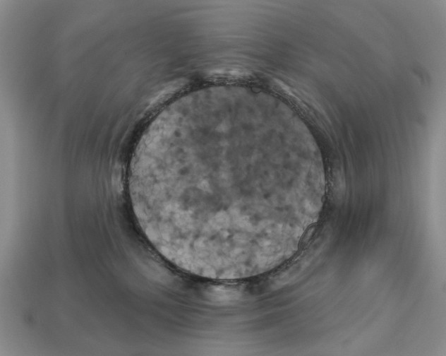 X0000113050232200909241501