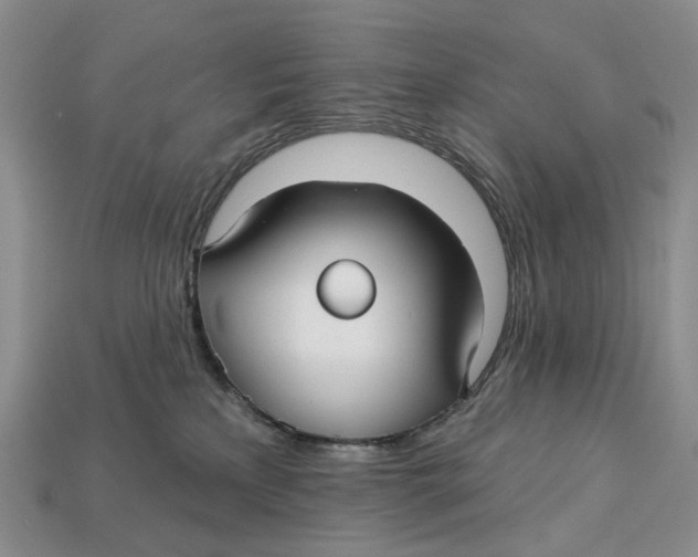 X0000113050233200909241501