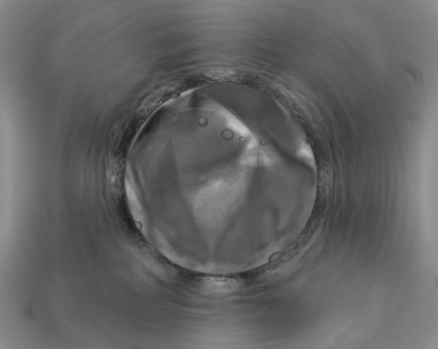 X0000113050234200909241501