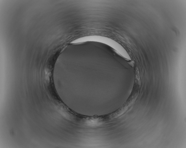 X0000113050235200909241501