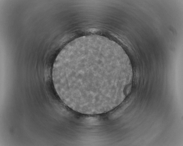 X0000113050236200909241501