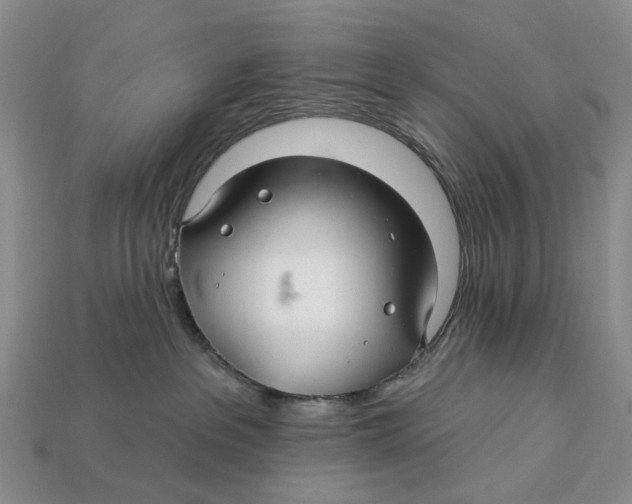 X0000113050237200909241501