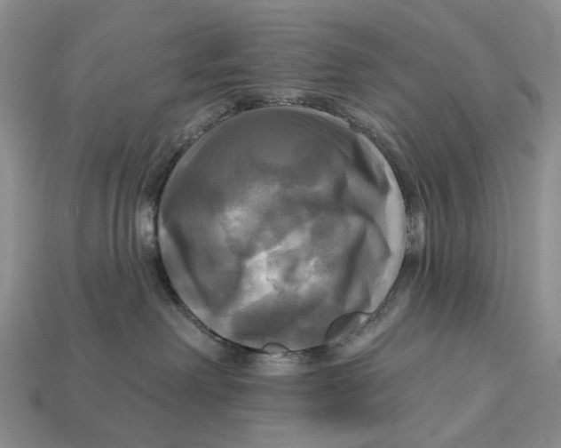 X0000113050238200909241501