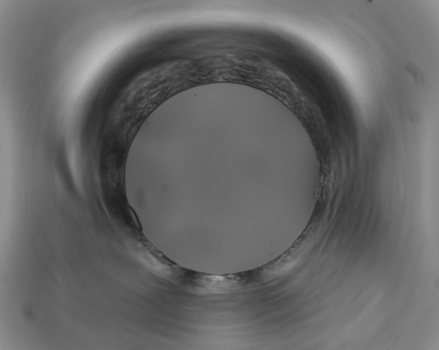X0000113050239200909241501