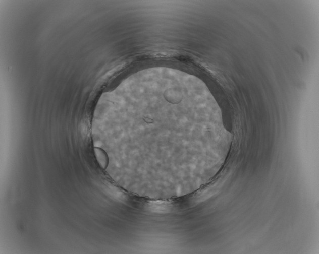 X0000113050240200909241501
