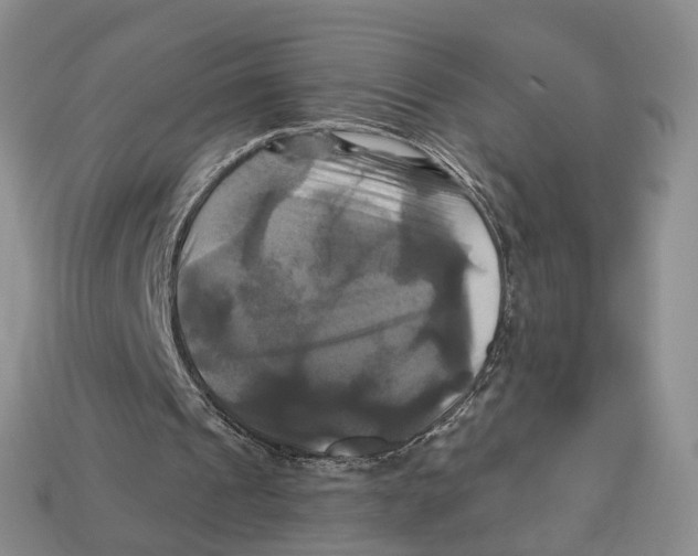 X0000113050241200909241501