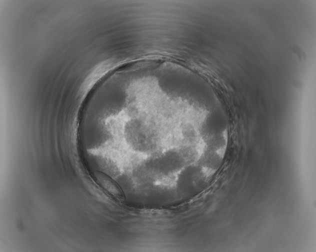X0000113050242200909241501