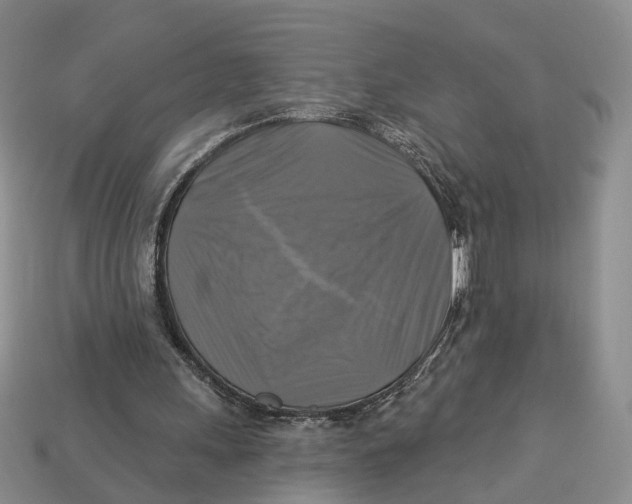 X0000113050243200909241501