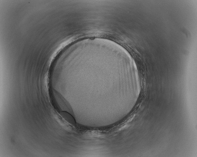 X0000113050244200909241501
