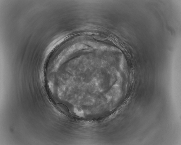 X0000113050245200909241501