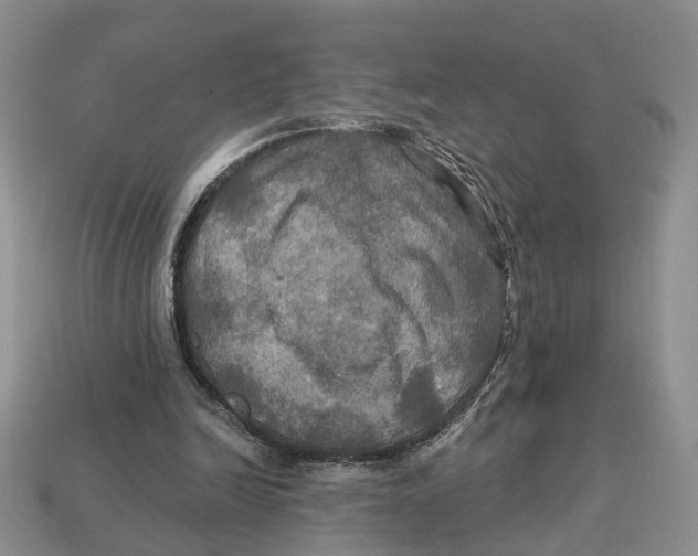 X0000113050246200909241501