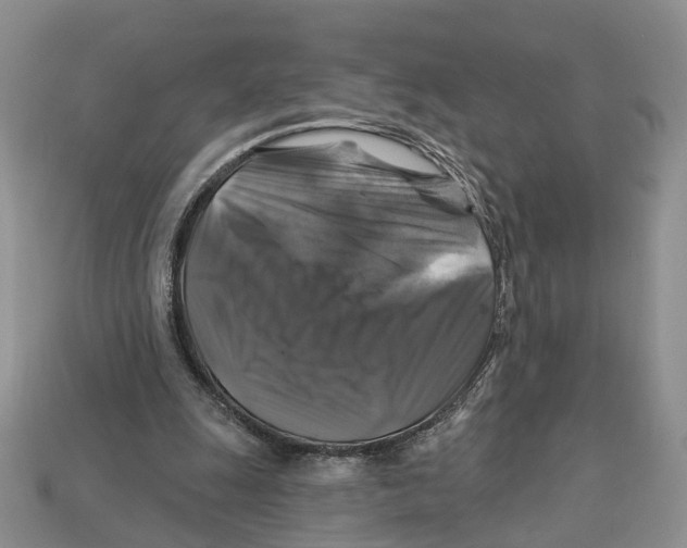 X0000113050247200909241501