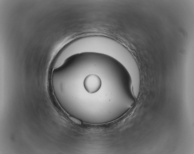 X0000113050248200909241501
