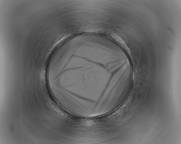 X0000113050249200909241501
