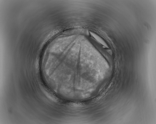 X0000113050250200909241501