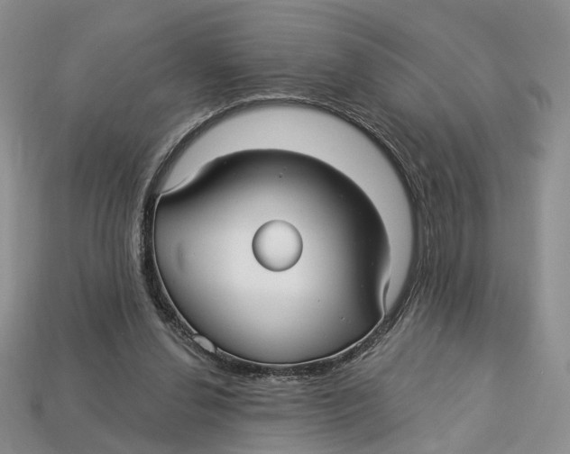 X0000113050252200909241501