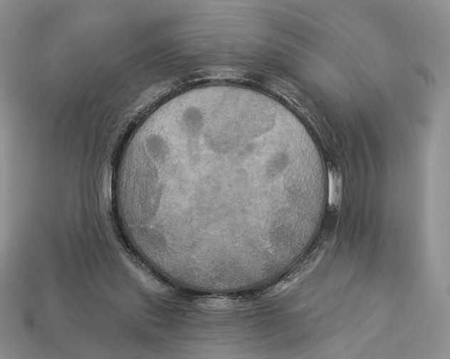 X0000113050253200909241501
