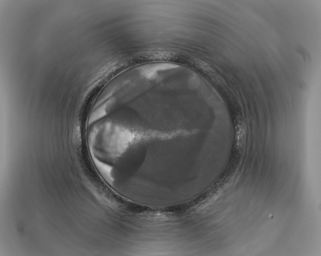 X0000113050254200909241501