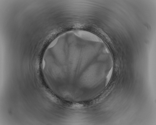X0000113050257200909241501