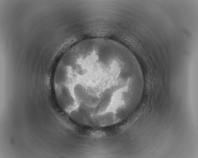 X0000113050258200909241501