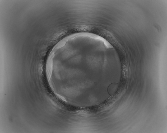 X0000113050259200909241501