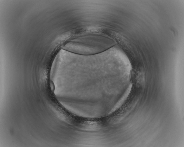 X0000113050260200909241501