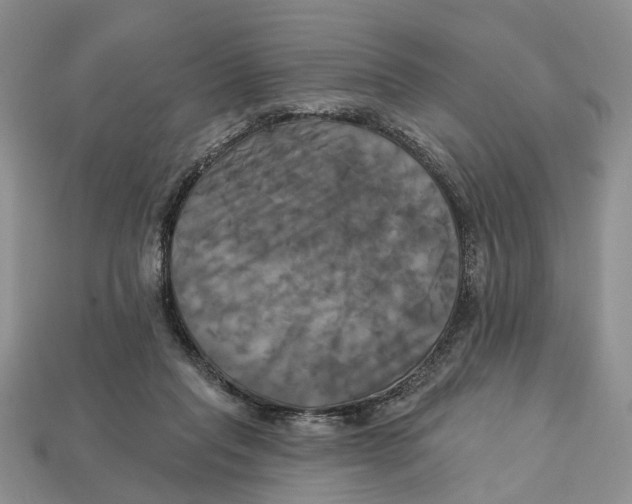 X0000113050261200909241501